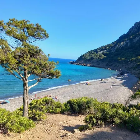 Blue Zone Mimi Apartment